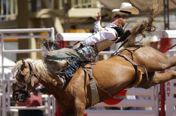 Ein Cowboy fällt während eines Rodeos von einem aufbäumenden Pferd.