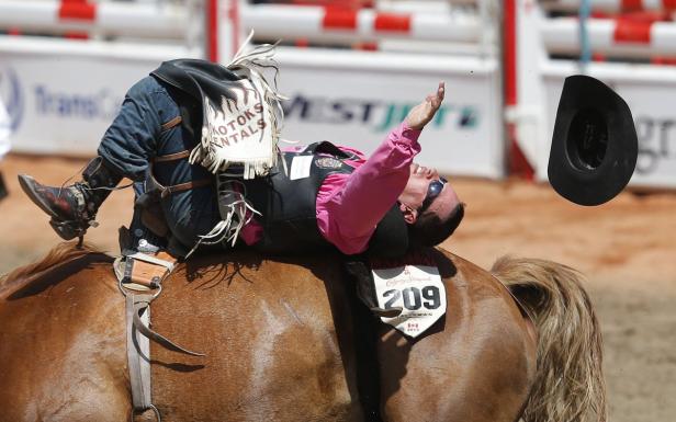 Ein Cowboy fällt während eines Rodeos von einem Pferd, sein Hut fliegt in die Luft.