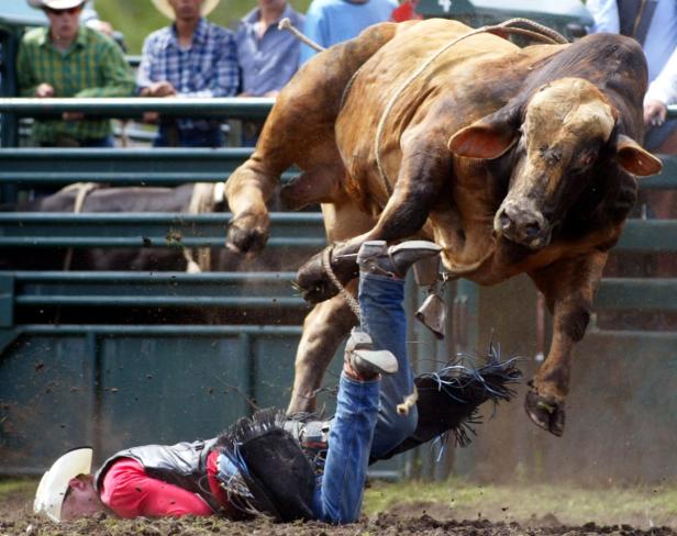 Ein Cowboy ist von einem Bullen auf einer Rodeo-Veranstaltung abgeworfen worden.