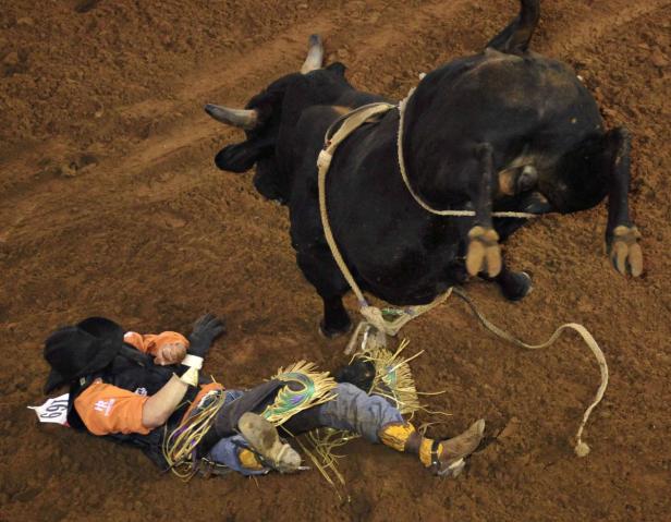 Ein Stier reitet über einen gefallenen Bullenreiter in einer Arena.