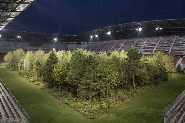 "For Forest" in Klagenfurt: Der Wald im Stadion ist vollendet