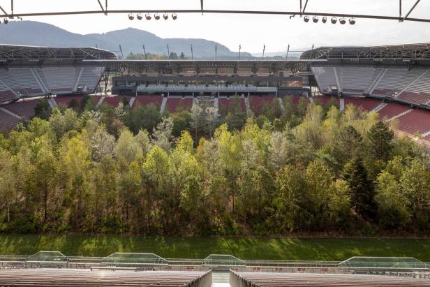 "For Forest" in Klagenfurt: Der Wald im Stadion ist vollendet