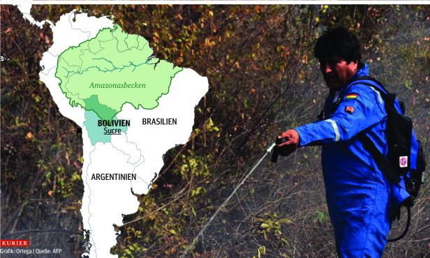Bolivien: Vier Millionen Hektar Wald verbrannt