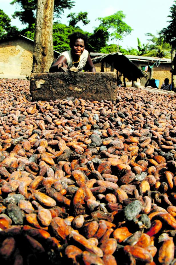 Ein Leben für den Kakao