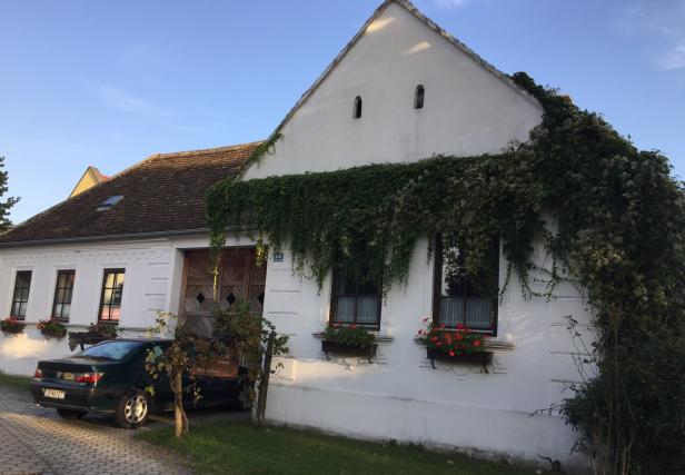 Lutzmannsburg: Wo die ältesten Reben zu Hause sind