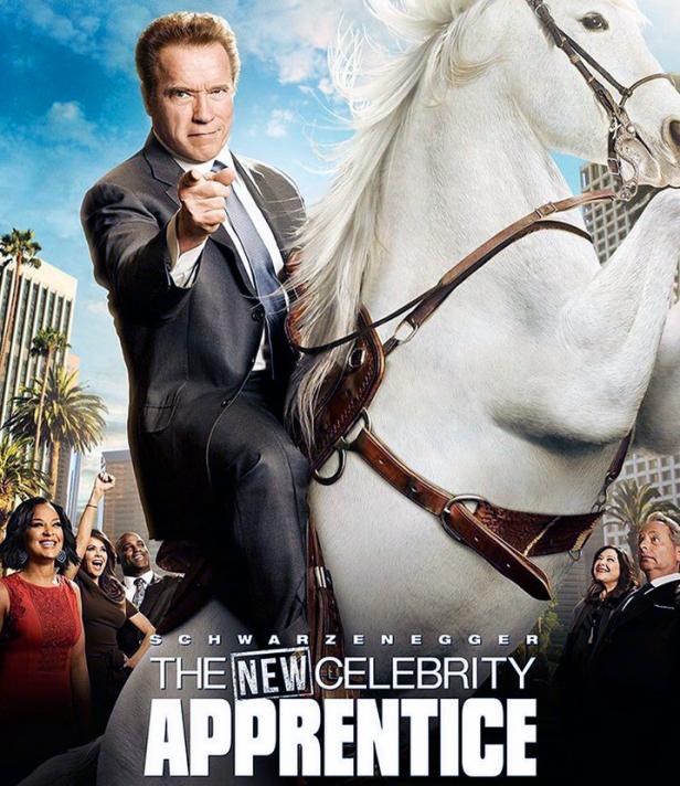 Neuer Job für Arnie: Er wird TV-Star