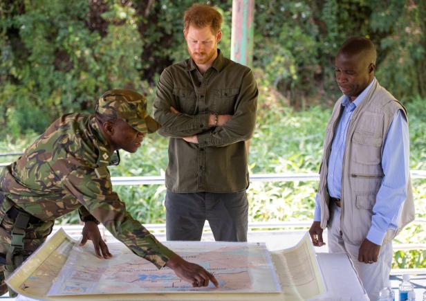 Prinz Harry sprach sich in Botswana für Greta Thunberg aus