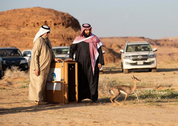 Saudi-Arabien vergibt erstmals Touristen-Visa