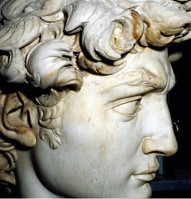 Detailaufnahme des Kopfes der David-Statue von Michelangelo.