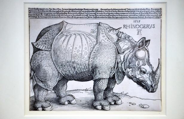 Ein Holzschnitt von Albrecht Dürer aus dem Jahr 1515, der ein Nashorn zeigt.