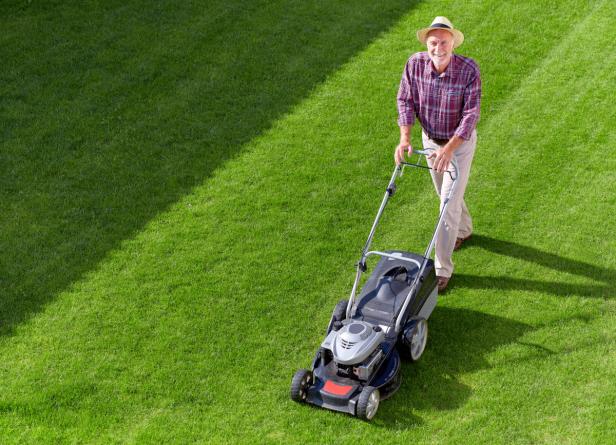 Wenn es kracht am Gartenzaun