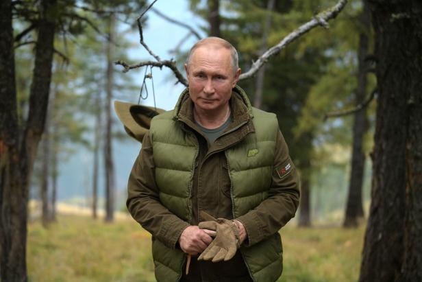 Fotostrecke: Naturbursche Putin feiert seinen 67. Geburtstag
