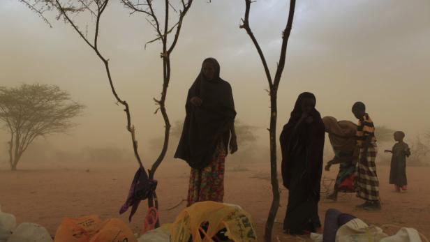 Waris Dirie: "Helft mit, diese Kinder zu retten"