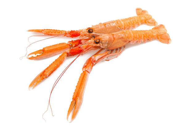 Scampi oder Shrimp: So erkennen Sie, ob das Restaurant trickst