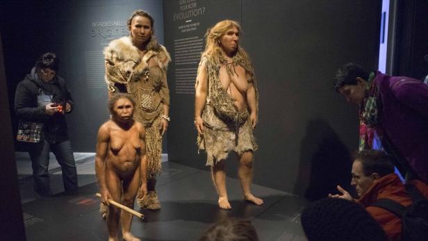 Drei lebensgroße Modelle von Frühmenschen in einer Museumsausstellung.