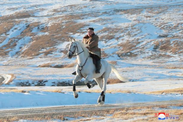 Höhenrausch: Kim Jong-un erklimmt auf weißem Pferd Vulkan