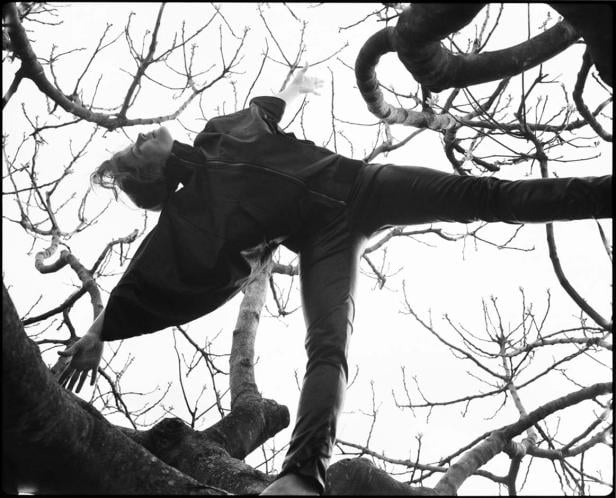 Eine Person balanciert auf einem Baum, die Arme ausgestreckt.