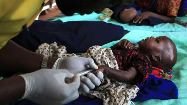 Ostafrika: "Die Phase vor dem Sterben"