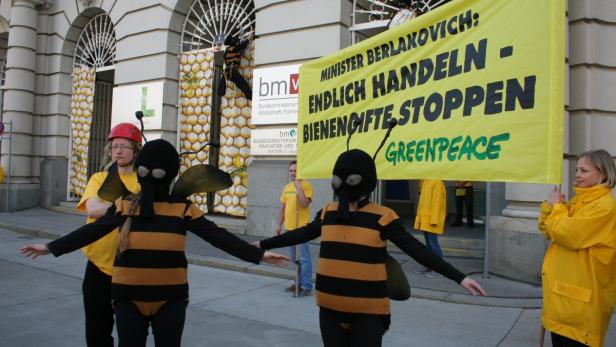 Bienensterben: Ruf nach Pestizid-Verbot wird lauter