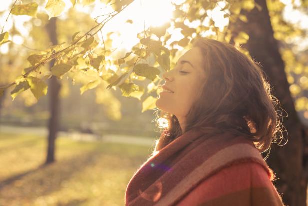 Aroma of the fall