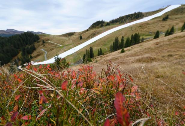 Schneeband im Herbst: Platter vermisst "Lernbereitschaft" bei Bergbahnen