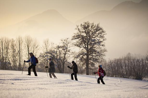 Vier Personen gehen mit Schneeschuhen in einer verschneiten Landschaft.
