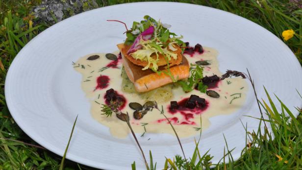 Ein Teller mit Lachs, garniert mit Salat und einer hellen Soße, steht im Gras.