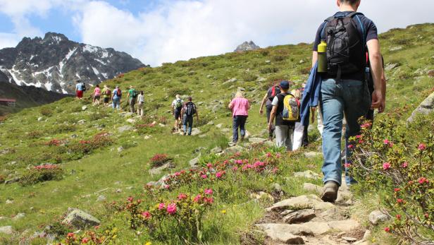 Eine Gruppe Wanderer geht einen Pfad in den Bergen entlang.