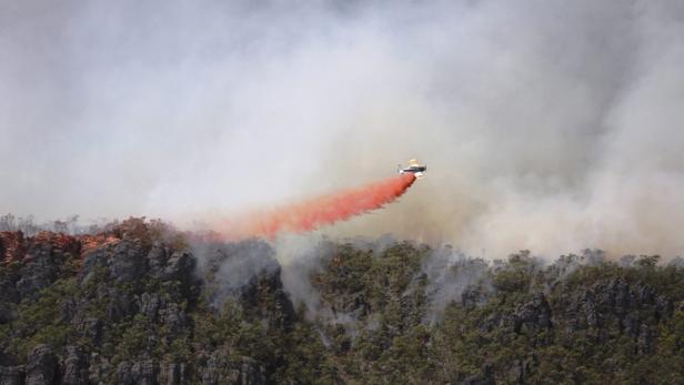 Ein Löschflugzeug wirft eine rote Flüssigkeit über einen Waldbrand ab.