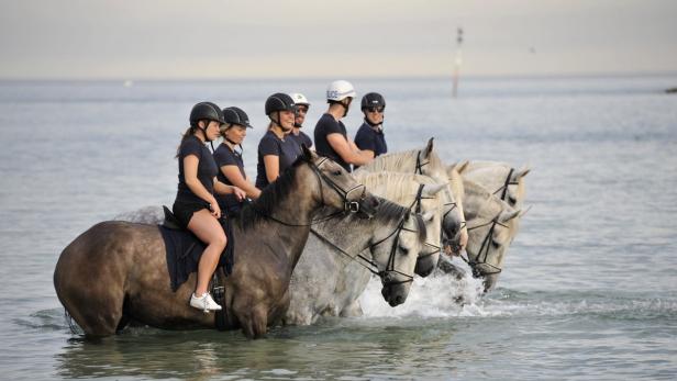 Eine Gruppe von Reitern reitet auf Pferden durch das Wasser am Strand.