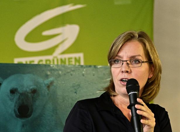 Schallenberg bleibt Außenminister, Anschober bekommt Soziales