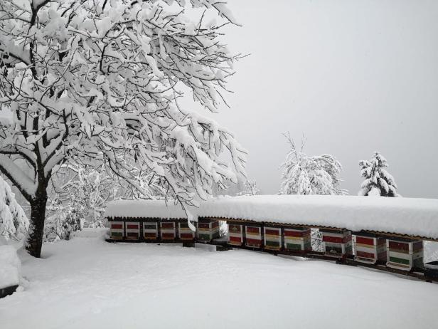 Nach Schneechaos im Westen kommt Winter nun auch nach Wien