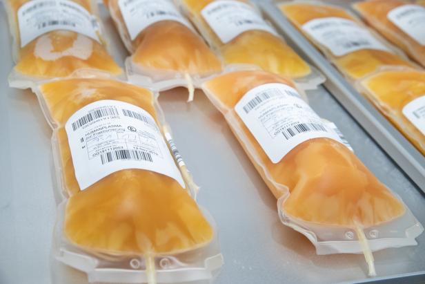 Blutplasma: Warum der Bedarf steigt und Spender gesucht werden