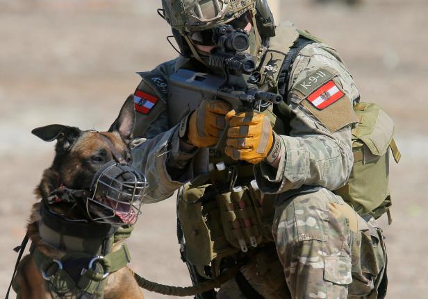 Elitesoldat getötet: Zwei Hunde haben zugebissen