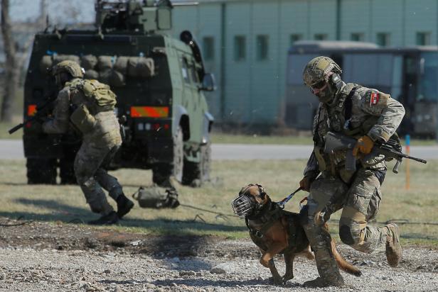 NÖ: Jagdkommando-Soldat in Kaserne von zwei Hunden getötet