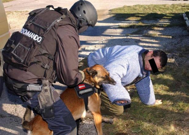 Elitesoldat getötet: Hunde vorerst in Quarantäne