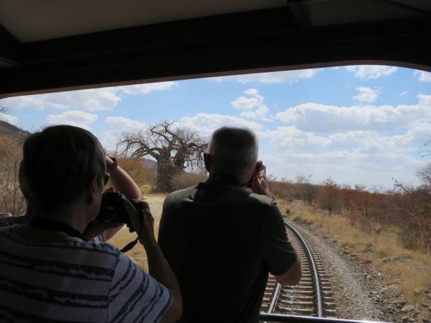 Traum auf Schiene: Warum Sie Afrika mit dem Zug bereisen sollten