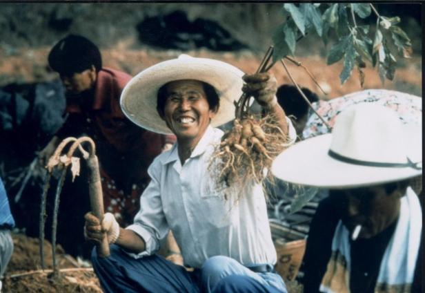Ein lächelnder Mann mit Hut hält Ginsengwurzeln in die Höhe.