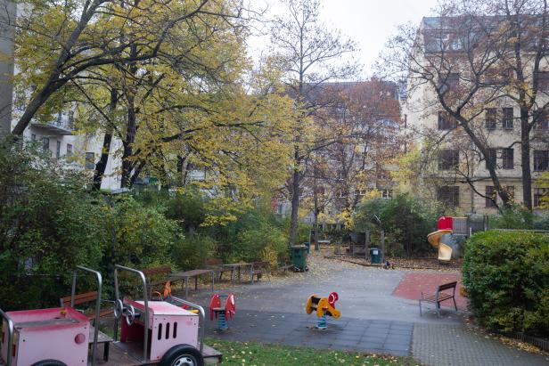Bäume und Parks: Wo Wien am grünsten ist
