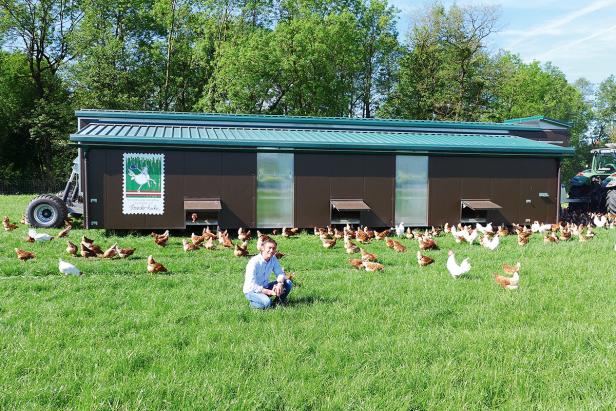 Wo Hühner mit ihrem Stall herumfahren