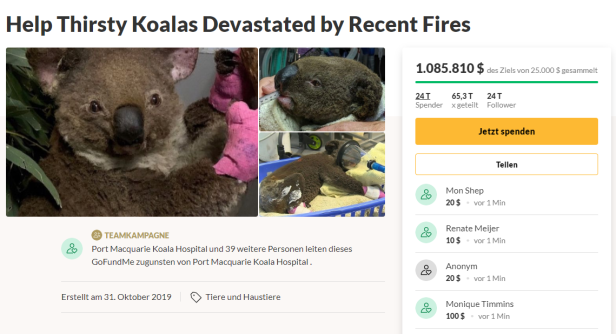 Brände in Australien: Millionenspende für bedrohte Koalas
