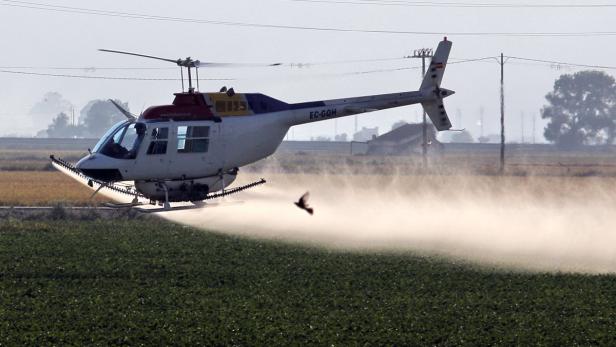 Ein Hubschrauber sprüht Pestizide über ein Feld.