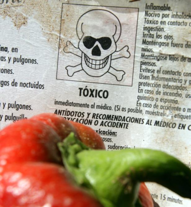 Ein Warnschild mit einem Totenkopf und dem spanischen Wort „Tóxico“ (giftig) vor einer roten Paprika.