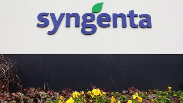 Das Logo von Syngenta vor einer Wand und Blumenbeeten.
