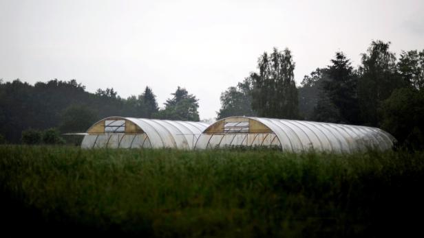 Zwei Gewächshäuser stehen auf einem Feld unter bewölktem Himmel.