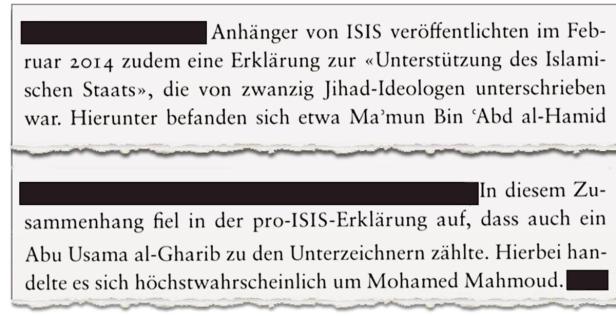 Mohamed M. aus Wien ist IS-Mitgründer