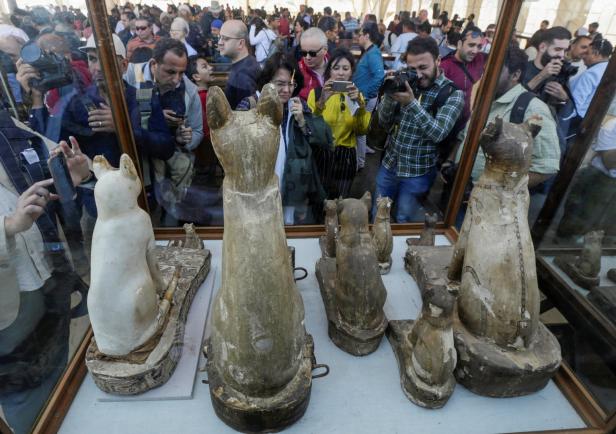 Löwenbaby-Mumien entdeckt: Wertvoller Fund in Totenstadt zu besichtigen