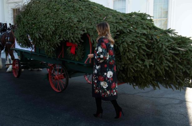 Was Melania Trump trägt, wenn sie einen Christbaum in Empfang nimmt