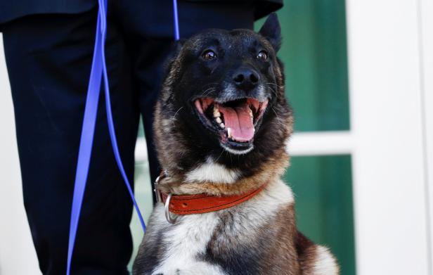 "Amerikanischer Held": Trump ehrt Hund für Einsatz gegen IS-Chef