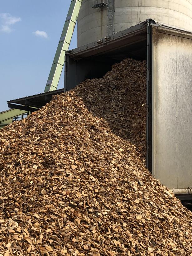 „Land muss reagieren“: Im Biomassekraftwerk wackeln Jobs
